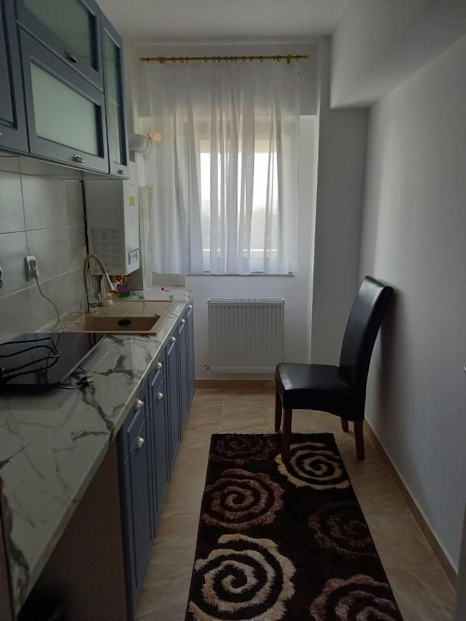 Iasi David'S Apartments - Breakfast Exterior photo